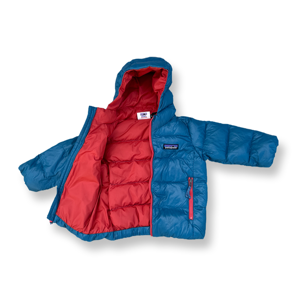 Patagonia Winter Coat with Hood