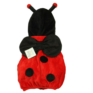 Dream Play Imagine 24 Months Red | Black Ladybug