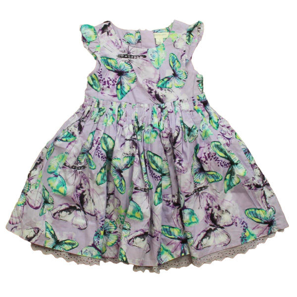 Pumpkin Patch 2T Purple Butterflies