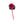 Load image into Gallery viewer, Snozu 6-12 months Navy Blue | Red
