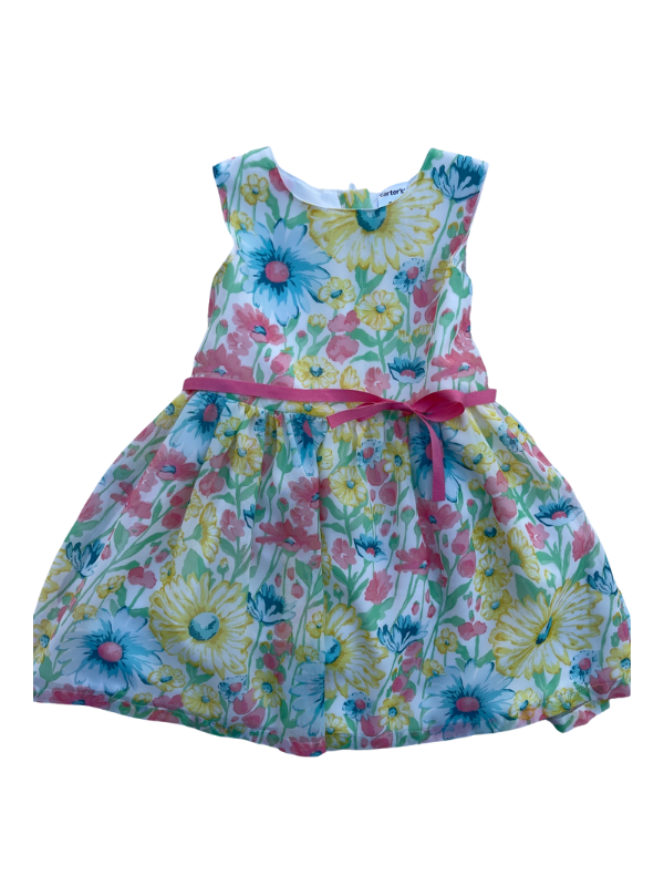 Carters floral holiday dress best sale